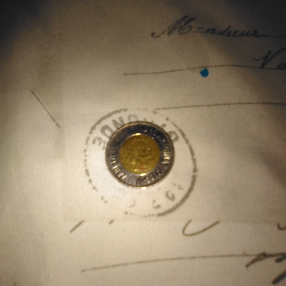 Bimetallic Coin with Detailed Design